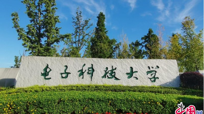 揭秘芯片行业：揭秘十大芯片厂商排名背后的故事